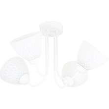 Lambadar Özel Tasarım Kıvrımlı Model Modern Avize