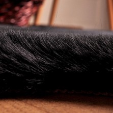 Tappeto Rex Tavşanı Dekoratif Post Peluş Halı Siyah (Tüy Yüksekliği 22 Mm)