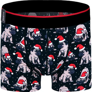 Çok Renkli Erkek Boxer DZNNY0001