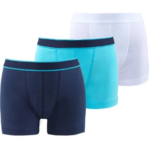 Erkek Çocuk Boxer 3'lü Paket 9395
