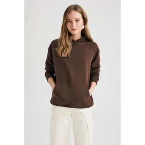 Kapüşonlu Basic Sweatshirt Z9351AZ22AU