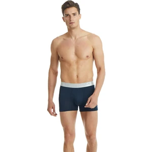 Erkek Boxer Silver 9303