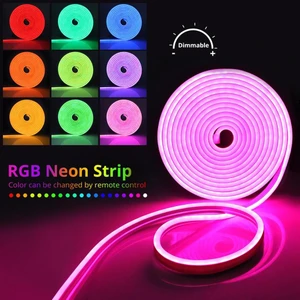 12V Rgb Neon LED (5 Metre )