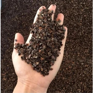 Ak Arıcılık Karabuğday Tohumu 1 kg