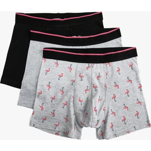 3'lü Boxer Seti Flamingo Baskılı