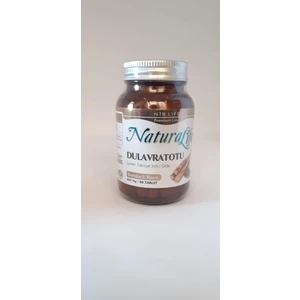 Natural Life Ntr Burdock Root