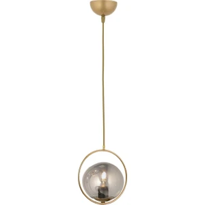 Modern Füme Glop Camlı Daire Model Tekli Gold Sarkıt Avize