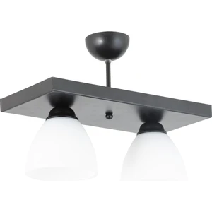 Ikili Dikdörtgen Siyah Spor Model Modern Avize