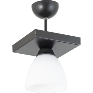 Ikili Dikdörtgen Siyah Spor Model Modern Avize