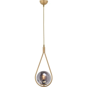 Damla Model Modern Gold Tekli Glop Füme Camlı Sarkıt Avize