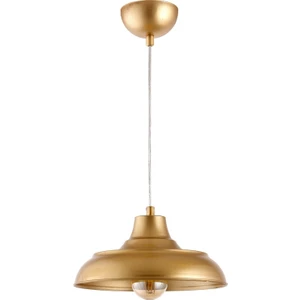 Retro Rustik Model Modern Metal Tekli Gold Sarkıt Avize Cafe