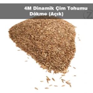 Zencefil Organik Çim Tohumu 500 gr 6 Mix