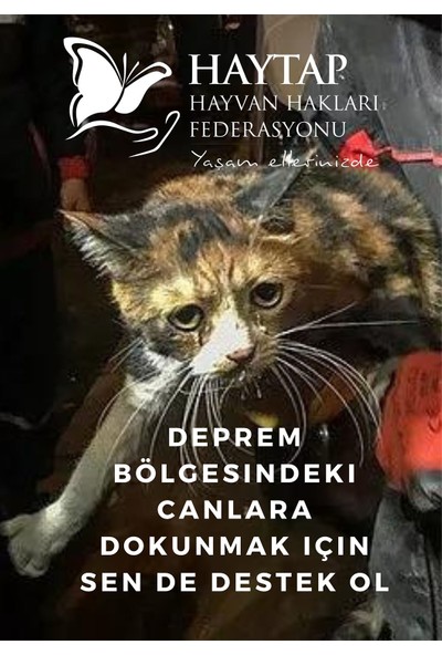 Haytap Dijital Destek Kartı 50 TL