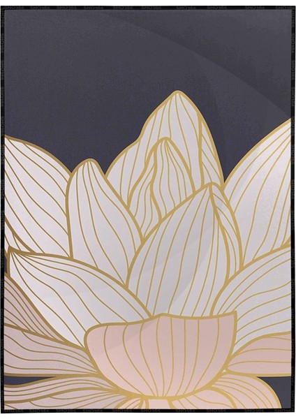 Lotus Nilüfer Çiçek Illüstrasyon Poster P-000875