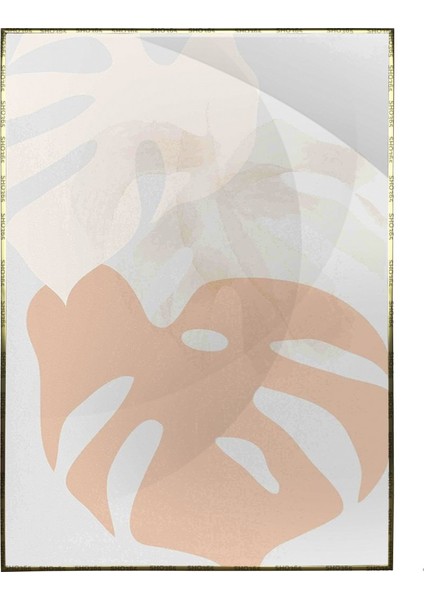Saksıda Bitkiler Illüstrasyon Modern Poster P-001324