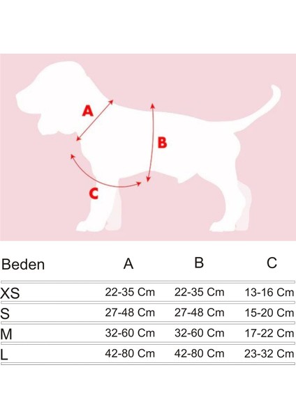 Karnaval Easy Walk Köpek Göğüs Tasması