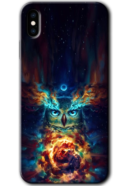 Apple iPhone Xs Max Kılıf Baskılı Kapak - Ballı Baykuş +Tam Kaplayan Mat Seramik