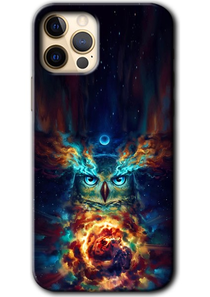 Apple iPhone 11 Pro Kılıf Baskılı Kapak - Ballı Baykuş +Tam Kaplayan Mat Seramik