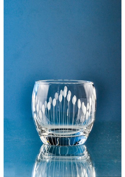 Pudgy 6 Adet Su ve Meşrubat Bardağı 340CC Vega Desenli