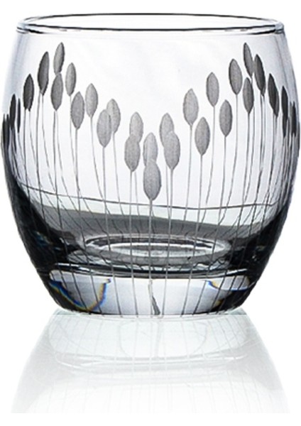 Pudgy 6 Adet Su ve Meşrubat Bardağı 340CC Vega Desenli fiyatları