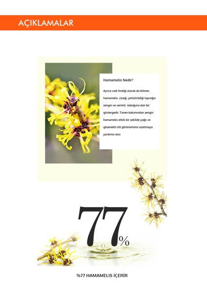 Hamamelis Özlü Yağlanma ve Gözenek Karşıtı Bakım Sunan Nemlendirici Krem A'PIEU Hamamelis Cream