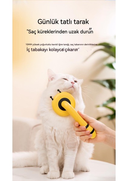Kedi Tarak(Yurt Dışından)