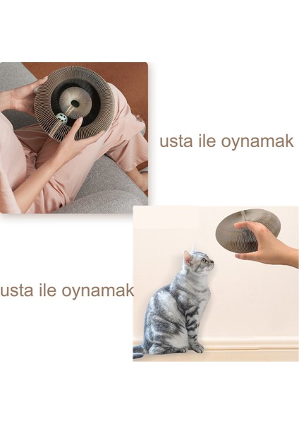 Akordeon Kombinasyon Dekompresyon Kedi Oyuncak - Beyaz (Yurt Dışından)