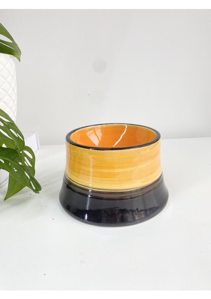 Seramik Kedi ve Köpek Mama Su Kabı Colorful Moon Bowl (Siyah-Sarı) modelleri