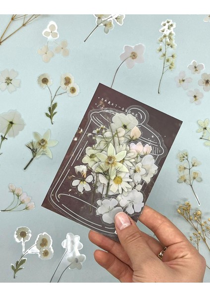 Retro Beyaz Renkli Çiçek Şeffaf Sticker - Scrapbook - Bullet Journal - Defter Süsleme-Çıkartma