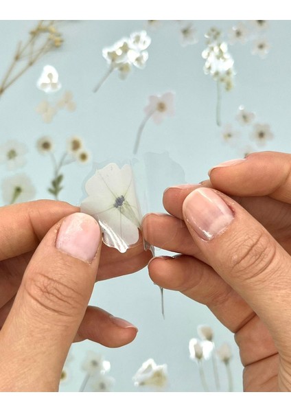 Retro Beyaz Renkli Çiçek Şeffaf Sticker - Scrapbook - Bullet Journal - Defter Süsleme-Çıkartma modelleri