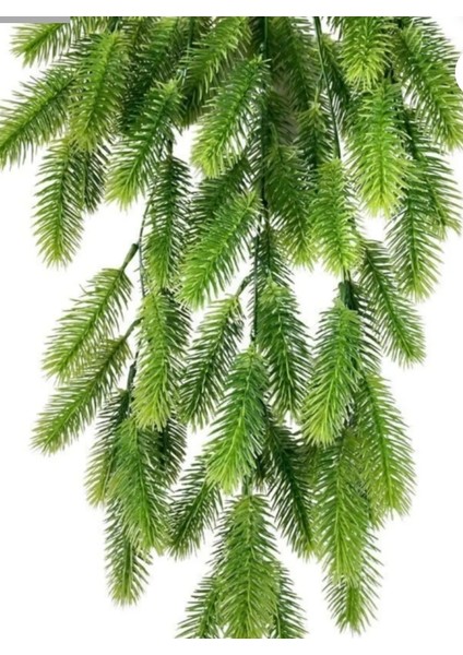 Rüzgar Çiçekcilik Sarkıt Sarmaşık fiyatları