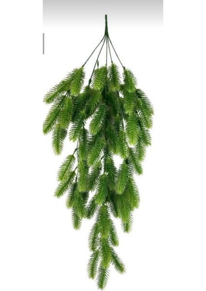 Rüzgar Çiçekcilik Sarkıt Sarmaşık modelleri