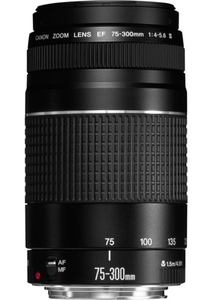 Lens EF 75-300mm f/4.0-5.6 III