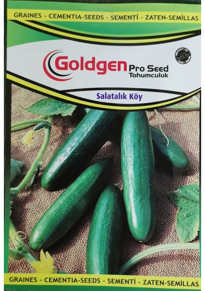 Goldgen Pro Seed Salatalık Köy