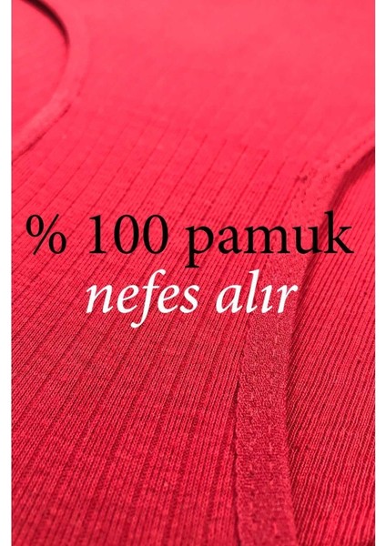 6 Adet Kadın Yüksek Bel Ribana Bato Külot S084 modelleri