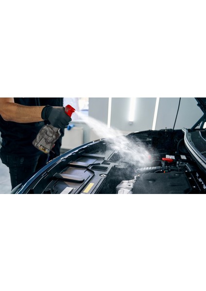 SİTRETT MX Çok Amaçlı Temizleyici Pro 700 Gr. fırsatları