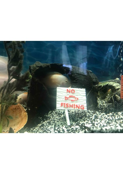 ATG Store Akvaryum Dekoru -No Fishing Yazısı