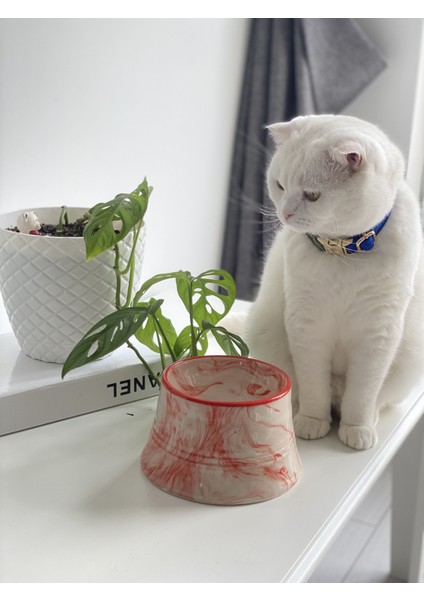 Seramik Kedi ve Köpek Mama Su Kabı Colorful Moon Bowl (Turuncu Çizgili -Ebru Desen) modelleri