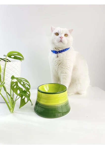 Stilin Bu Seramik Kedi ve Köpek Mama Su Kabı Colorful Moon Bowl  (Yeşil-Fıstık Yeşil)