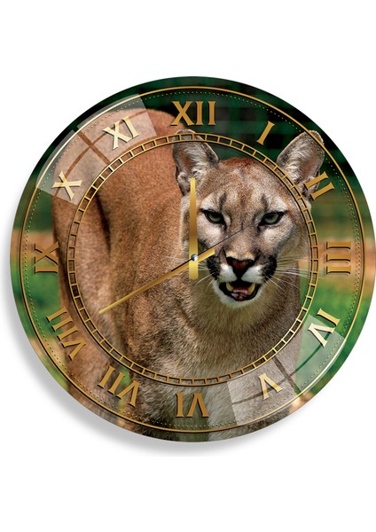 Puma Cam Saat - 60 cm