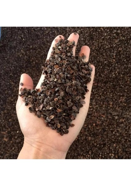 Karabuğday Tohumu 1 kg