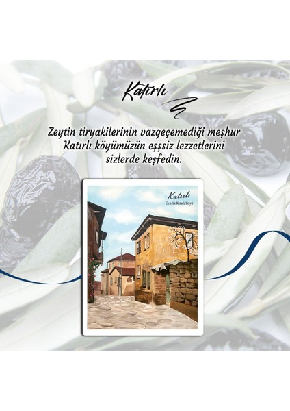 Gemlik Zeytini Katırlı Zeytini Avantaj Paket 4x2 Toplam 8 KG(XL) Siyah Zeytin