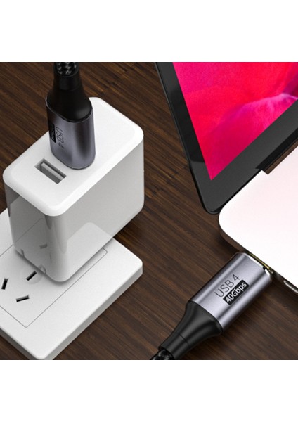 Uzatma Kablosu 40GBPS Kablo Tipi C Tipi Erkek 100W Genişletici Tel - Siyah (Yurt Dışından)