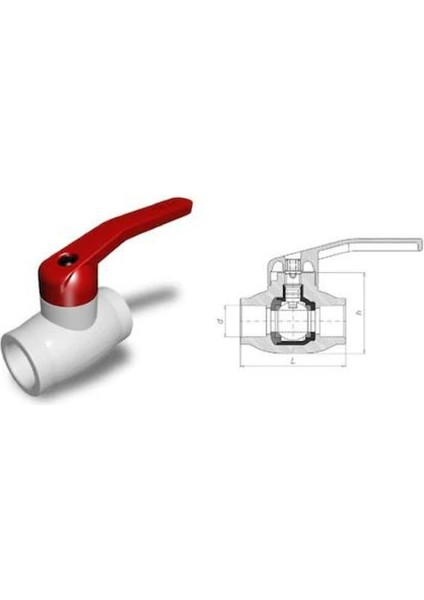 Beyaz Küresel Vana 20mm