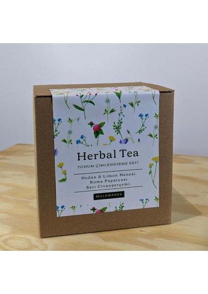 Nourishing Herbal Tea Tohum Çimlendirme Seti - Hodan, Limon Nanesi, Roma Papatya, Sarı Civanperçemi