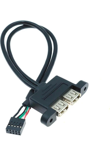 9 Pin Anakark Jumper Soketi To 2x USB A Dişi Panel Tipi Kablo - 30CM