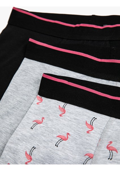 3'lü Boxer Seti Flamingo Baskılı