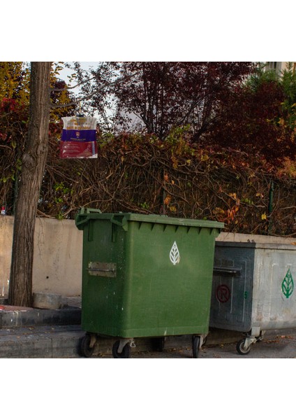 - L Karasinek Tuzağı
