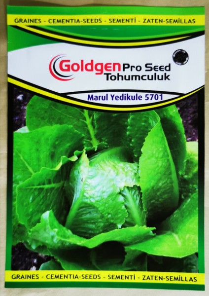 Goldgen Pro Seed Marul Tohumu Yedikule