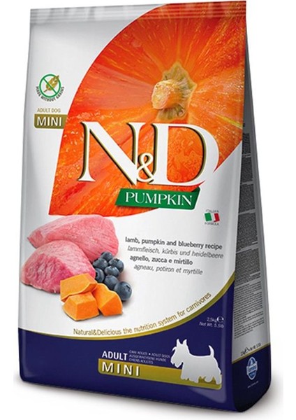 Pumpkin Tahılsız Mini Adult 2,5kg Kuzu Bal Kabağı ve Yaban Mersinli Ufak Irk Köpek Maması